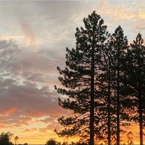 Meet your Posher, Skylar